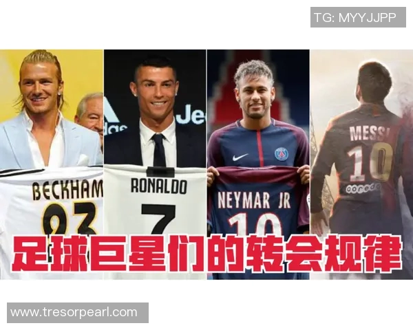 伊布转会新动态足球明星再续传奇之路引发球迷热议