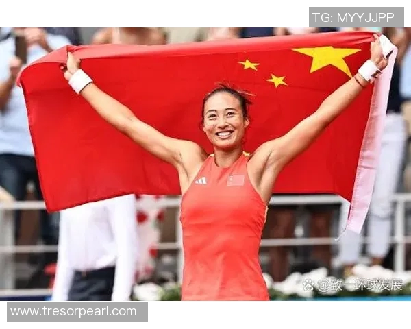 北京网球队在奥运会上的个人能力表现分析与点评