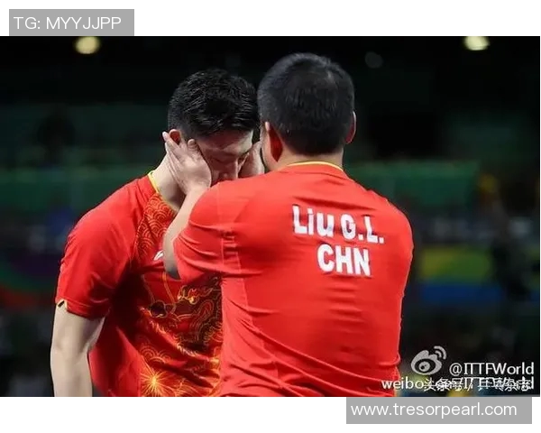 南京乒乓球队总决赛背后的奋斗故事与荣耀时刻