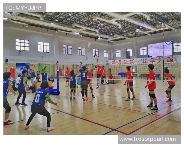 深圳排球队在选拔赛中的耐力表现分析与启示