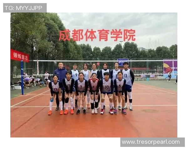 成都排球队总决赛精彩表现分析与实力点评