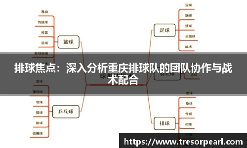 BB贝博官网
