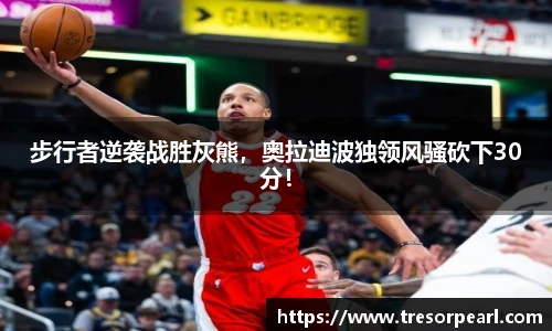 BB贝博登录入口
