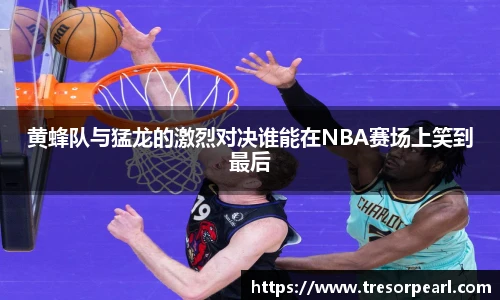 BB贝博登录入口