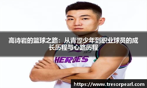 BB贝博登录入口