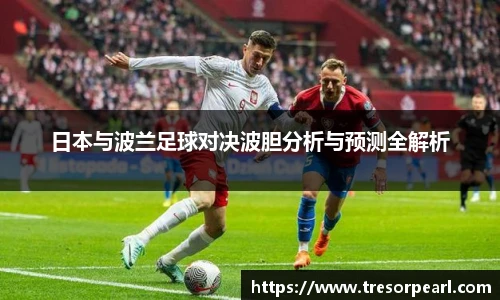 BB贝博登录入口