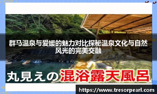 BB贝博登录入口